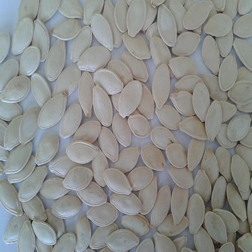 原料辅料,初加工材料 农产品 食用坚果干果 瓜子/葵瓜子 长期出售有壳